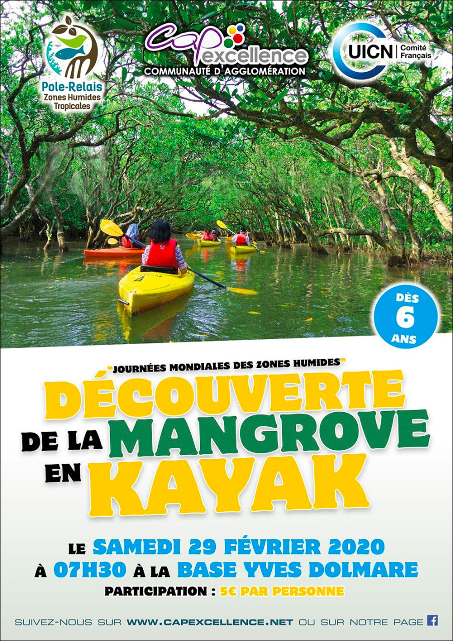 Découverte de la mangrove en kayak