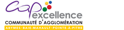 logo cap excellence